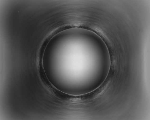 X0000089380440200706151207
