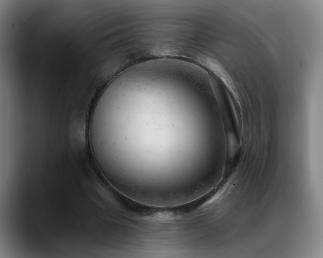 X0000089380441200706151207