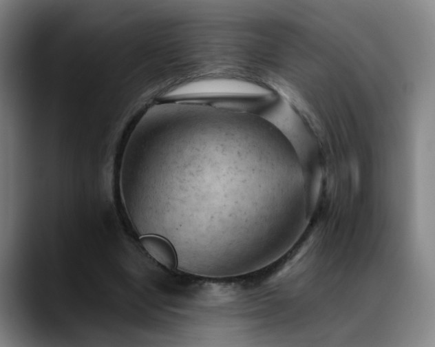 X0000089380442200706151207