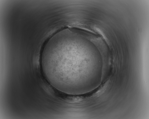 X0000089380443200706151207