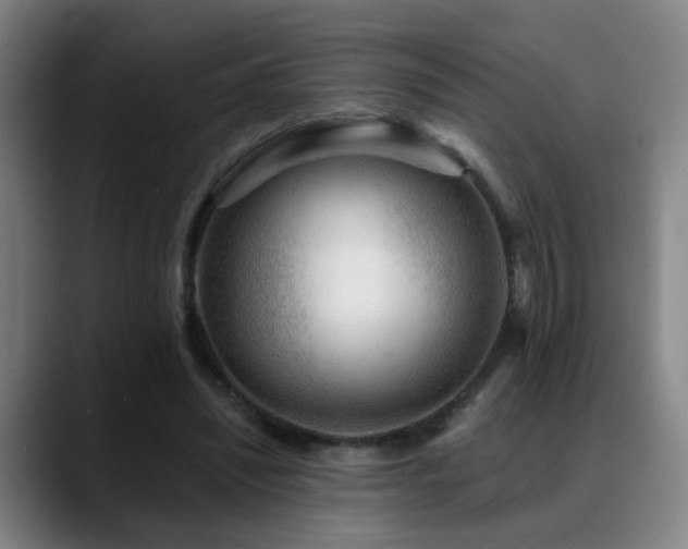 X0000089380444200706151207