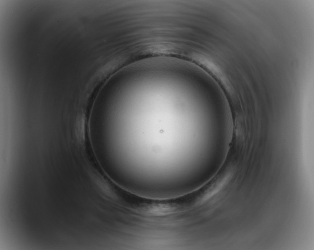 X0000089380445200706151207
