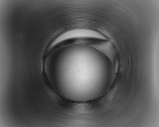 X0000089380446200706151207