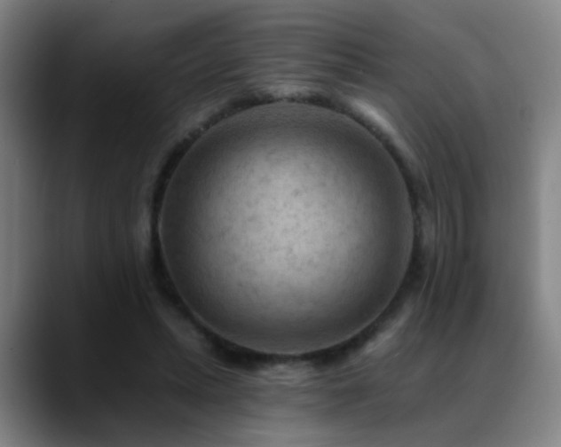 X0000089380447200706151207