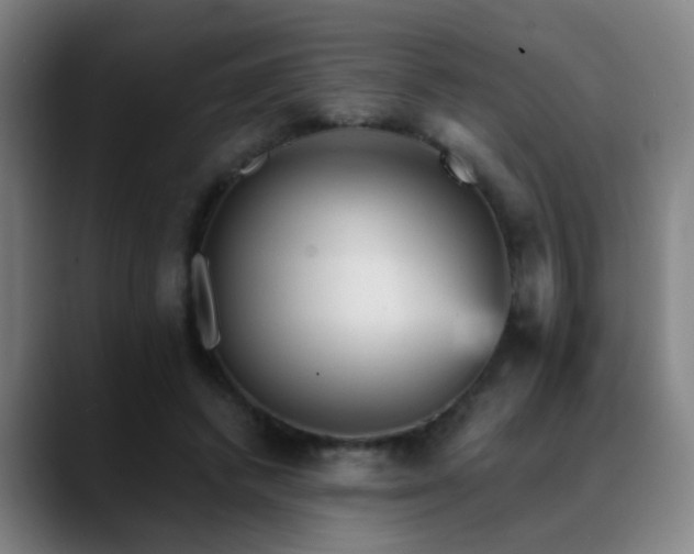 X0000089380448200706151207