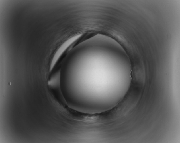 X0000089380450200706151207