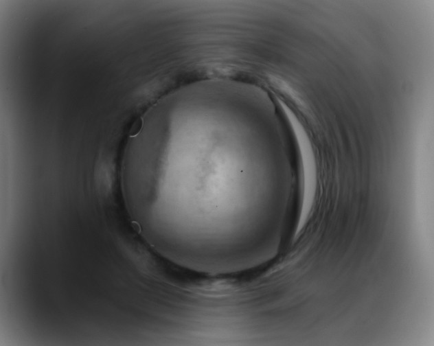 X0000089380451200706151207