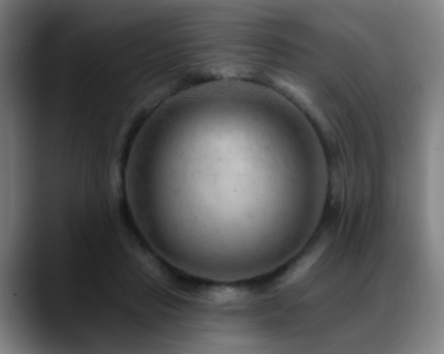X0000089380453200706151207
