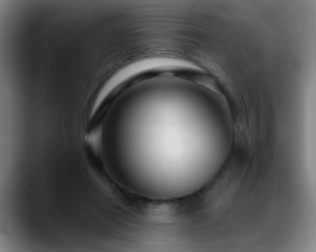 X0000089380454200706151207