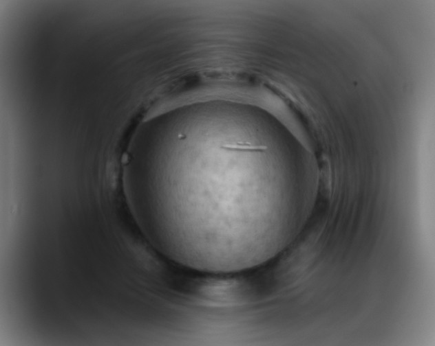 X0000089380458200706151207