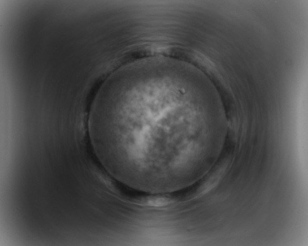 X0000089380462200706151207