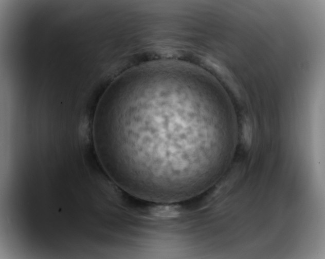 X0000089380465200706151207