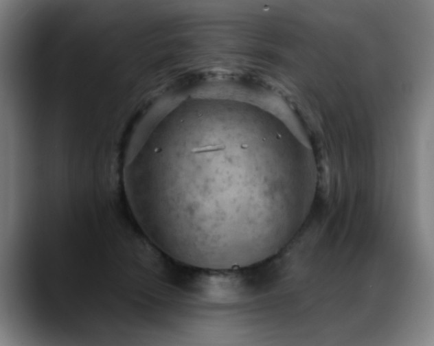 X0000089380466200706151207