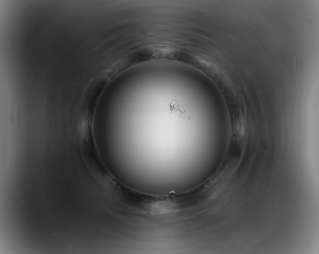 X0000089380468200706151207