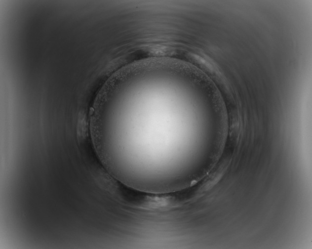 X0000089380469200706151207