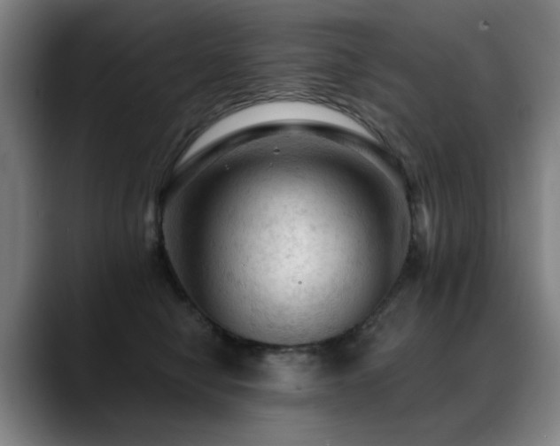 X0000089380470200706151207
