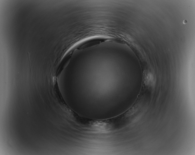X0000089380471200706151207