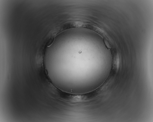 X0000089380473200706151207