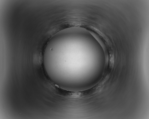 X0000089380474200706151207