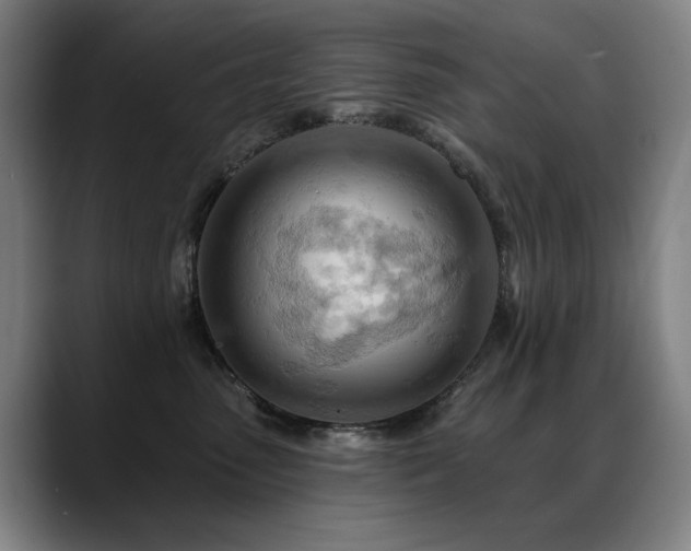 X0000089380475200706151207