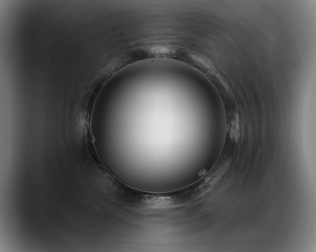 X0000089380476200706151207