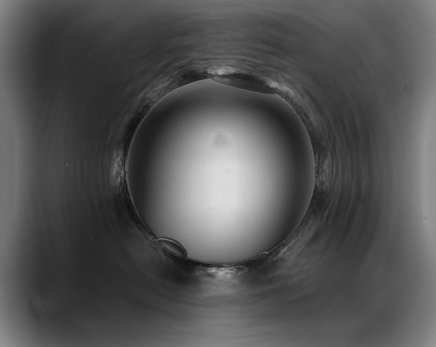 X0000089380478200706151207