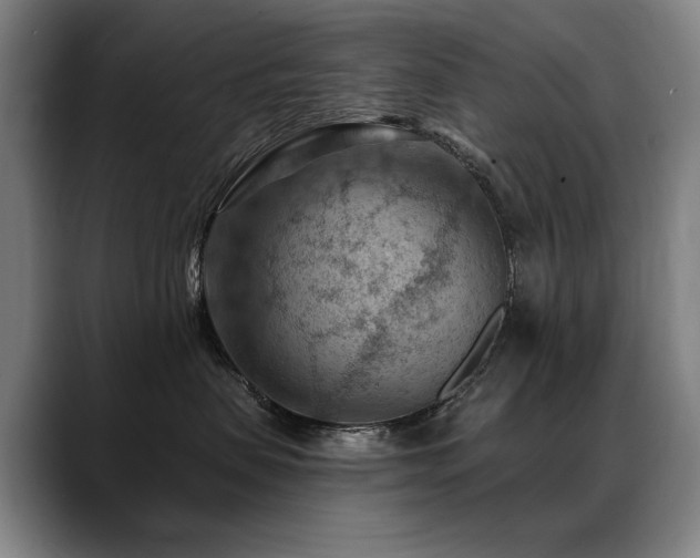 X0000089380479200706151207