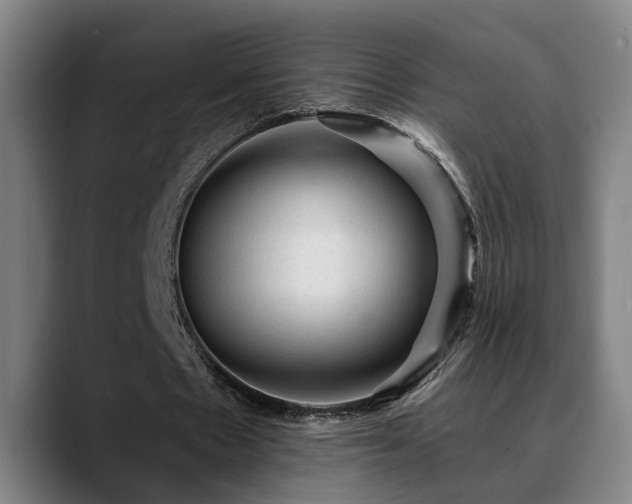X0000089380481200706151207