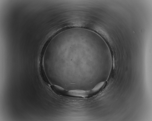 X0000089380483200706151207