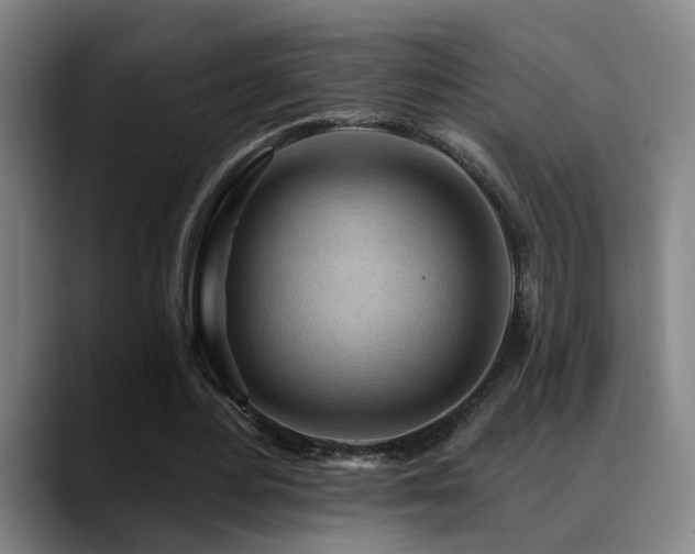 X0000089380484200706151207