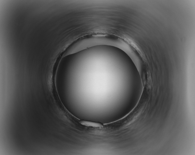 X0000089380485200706151207