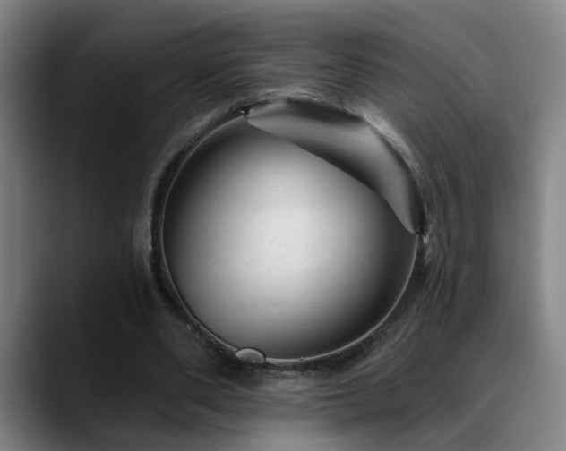 X0000089380486200706151207