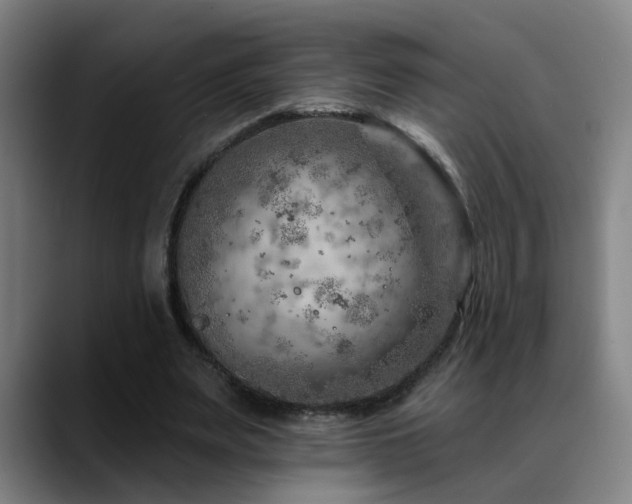 X0000089380487200706151207