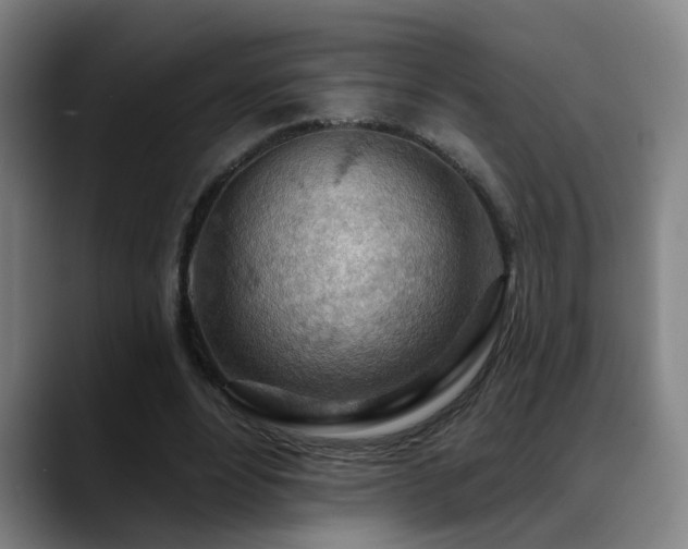 X0000089380488200706151207
