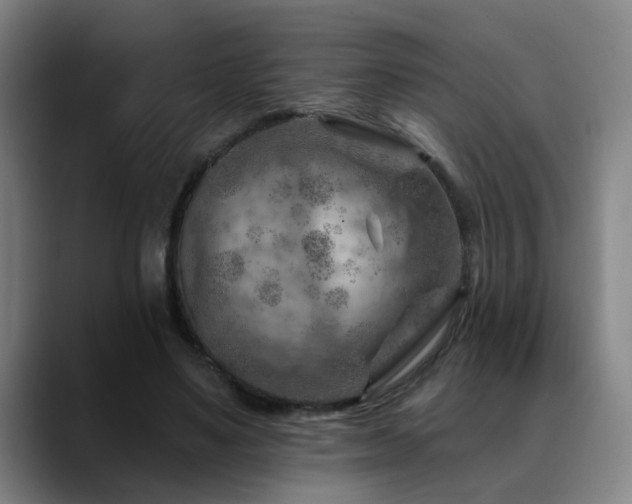 X0000089380491200706151207