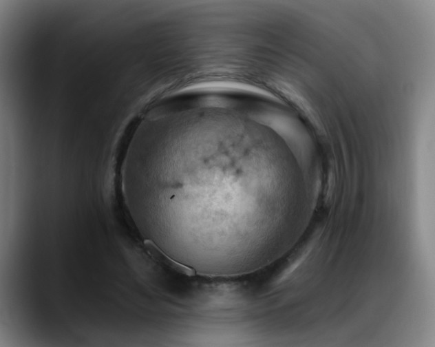 X0000089380492200706151207