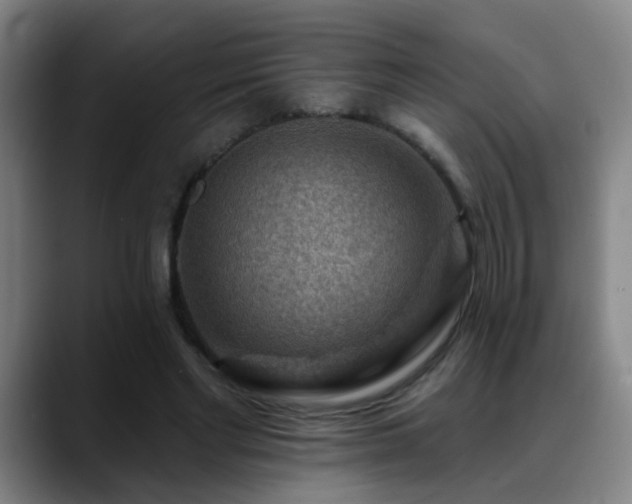 X0000089380493200706151207