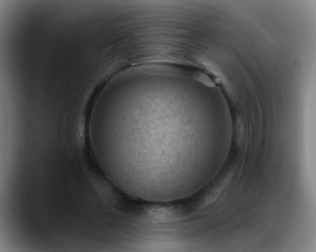 X0000089380494200706151207