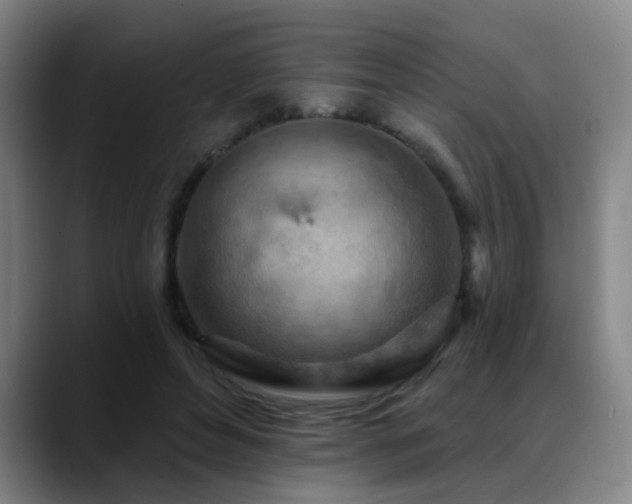 X0000089380496200706151207