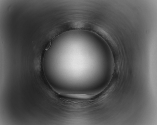 X0000089380497200706151207