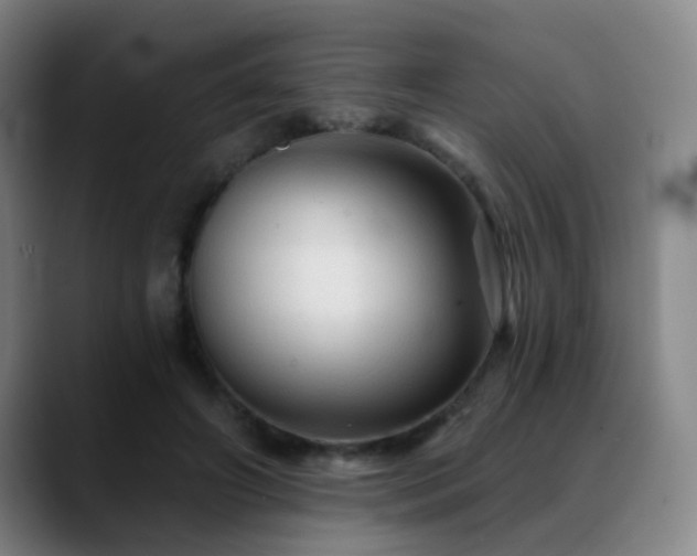 X0000089380498200706151207