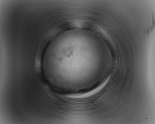 X0000089380500200706151207