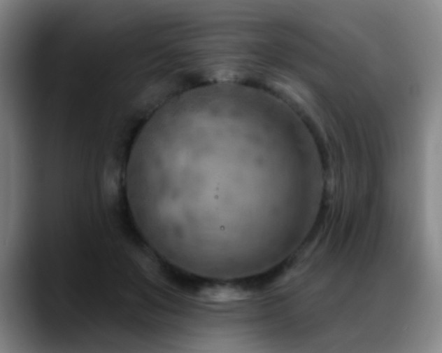 X0000089380503200706151207