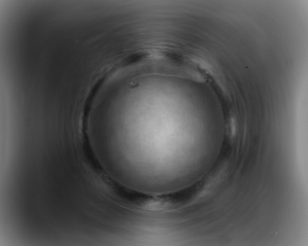X0000089380504200706151207