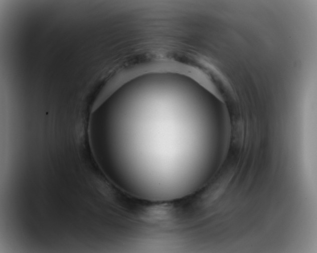X0000089380505200706151207