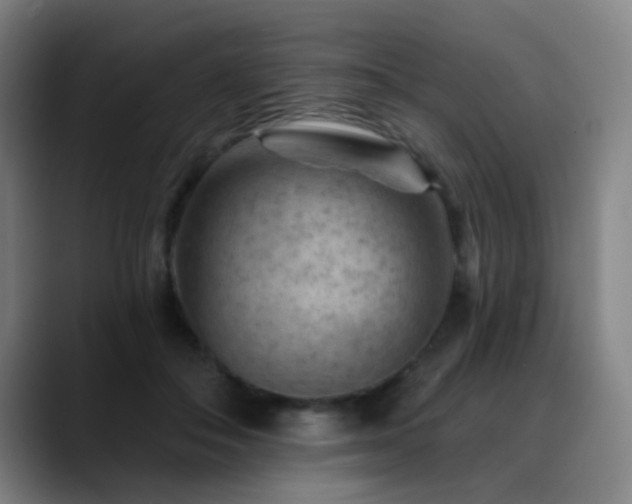 X0000089380506200706151207