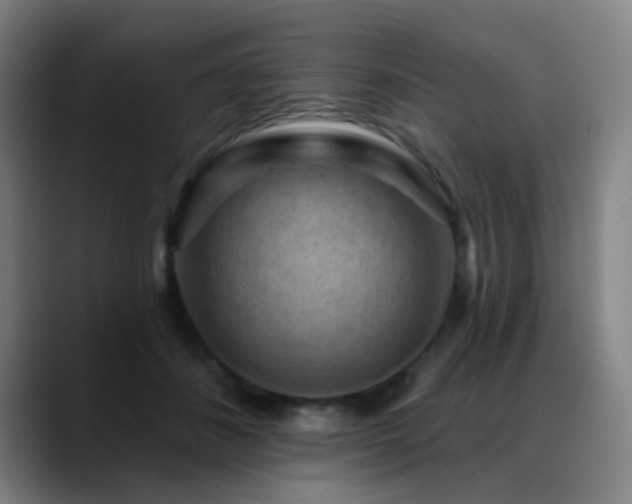X0000089380508200706151207