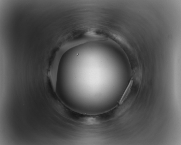 X0000089380509200706151207