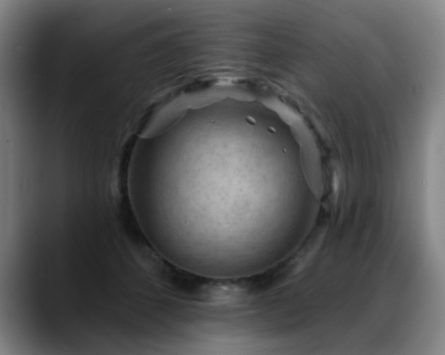 X0000089380512200706151207