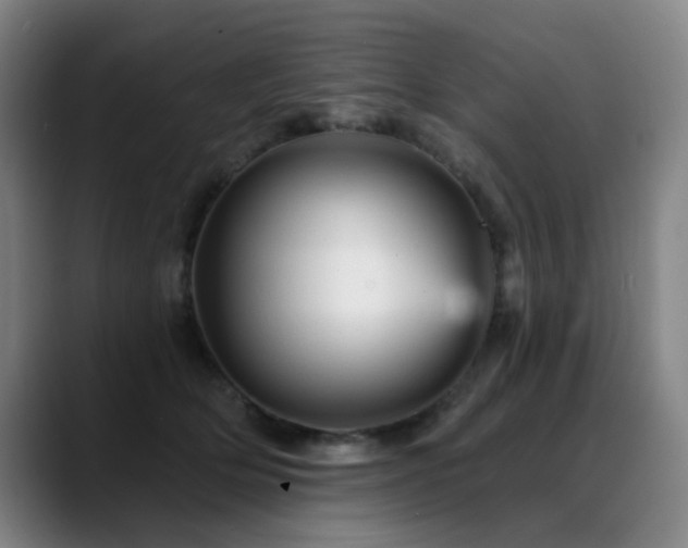 X0000089380514200706151206